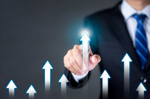 高效企业管理 体系构建与咨询赋能之路